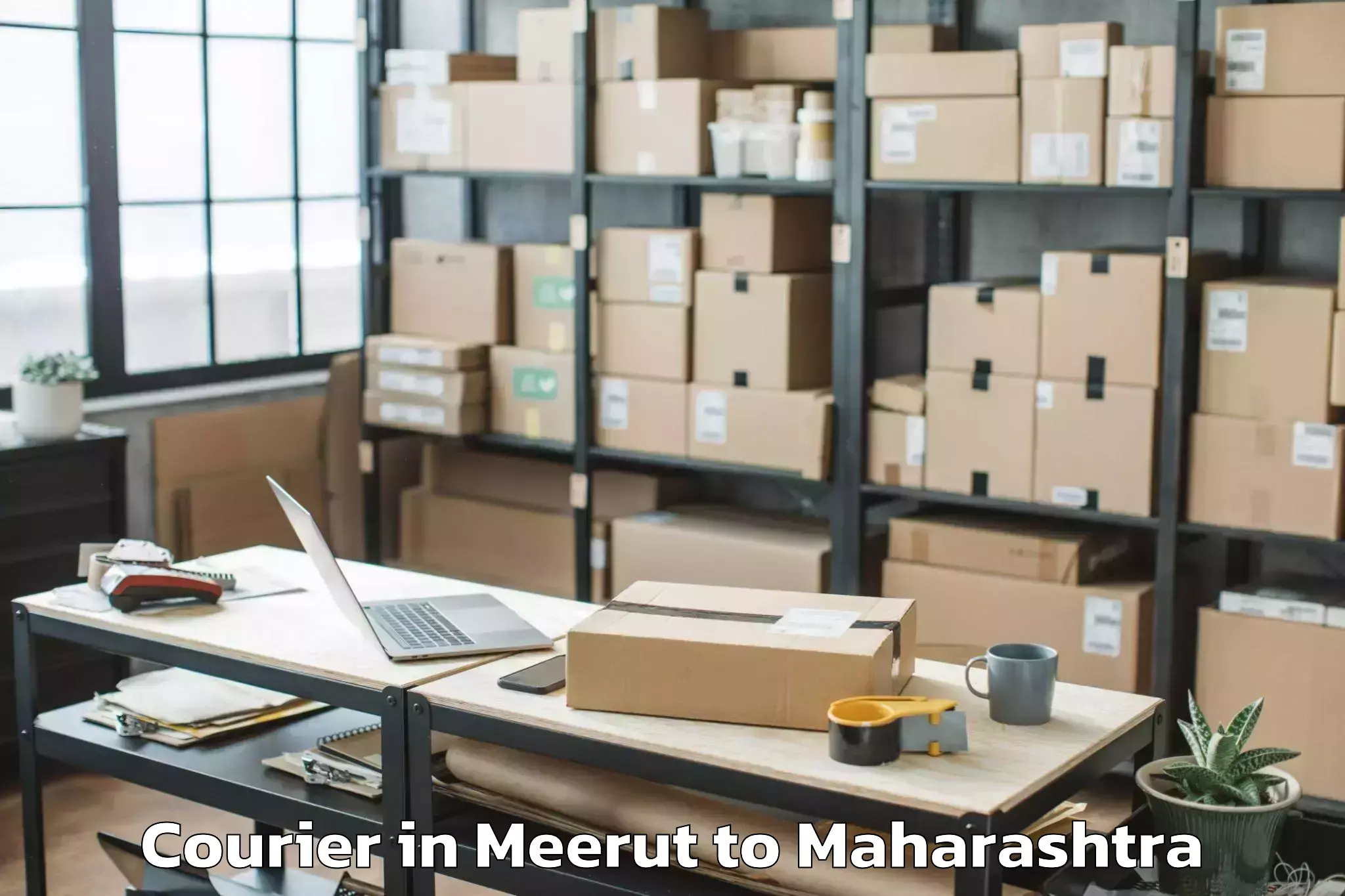 Book Meerut to Soygaon Courier